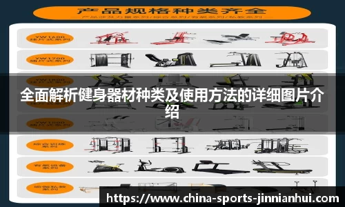 全面解析健身器材种类及使用方法的详细图片介绍